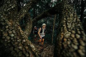 BIB: 
                            <button type="button" onclick="openModal(25675153)" class="btn btn-primary btn-sm float-right btn-popup" data-toggle="modal" data-target=".modal-high-quality">
                        <i class="fas fa-shopping-cart"></i> Add to Cart
                    </button>
                                            <button type="button" onclick="isThisMe(25675153, true)" class="btn btn-success btn-sm float-right btn-popup btn-isme hidden" data-toggle="tooltip" data-placement="bottom" title="นี่คือรูปของคุณใช่ไหม คลิกที่นี่เพื่อเอาเข้าอัลบั้ม">
                        <i class="fas fa-plus"></i> Add to album
                    </button>
                    <button type="button" onclick="isThisMe(25675153, false)" class="btn btn-warning btn-sm float-right btn-popup btn-isnotme hidden">
                        <i class="fas fa-ban"></i> Remove from album
                    </button>